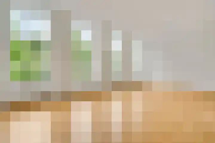 Sint Pieterskade 8 B 03 Maastricht thumbnail 9