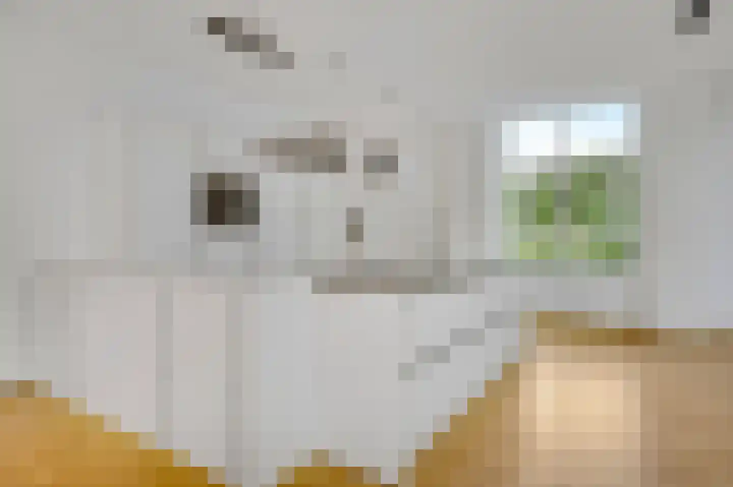 Sint Pieterskade 8 C 01 Maastricht thumbnail 6