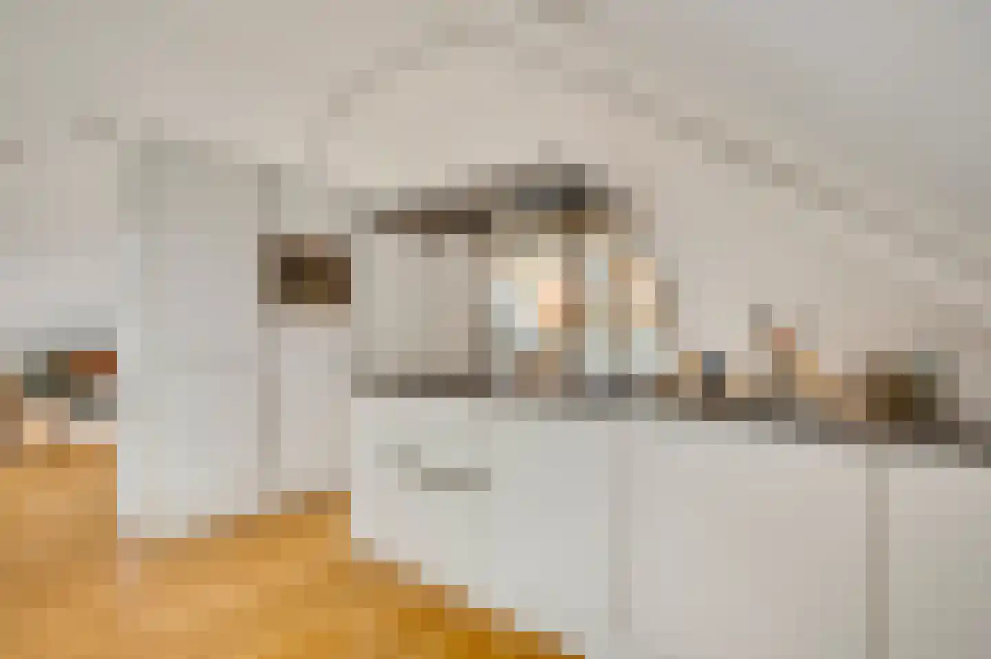 Sint Pieterskade 8 D 01 Maastricht thumbnail 17