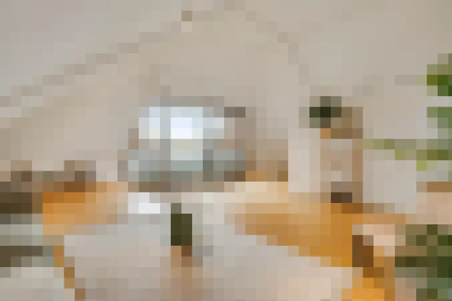 Sint Pieterskade 8 D 01 Maastricht thumbnail 7