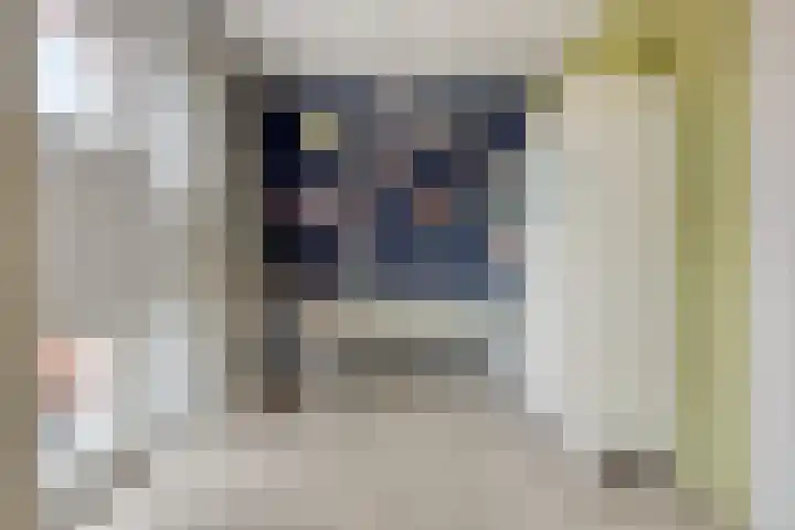 Sint Pieterspark 135 Tilburg thumbnail 23