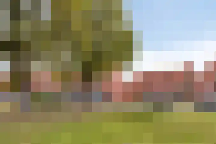 Sint Pieterspark 135 Tilburg thumbnail 37