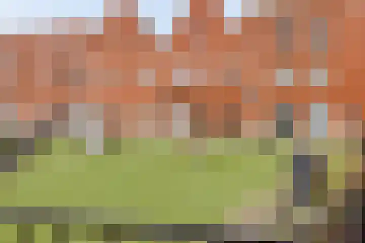 Sint Pieterspark 145 Tilburg thumbnail 44