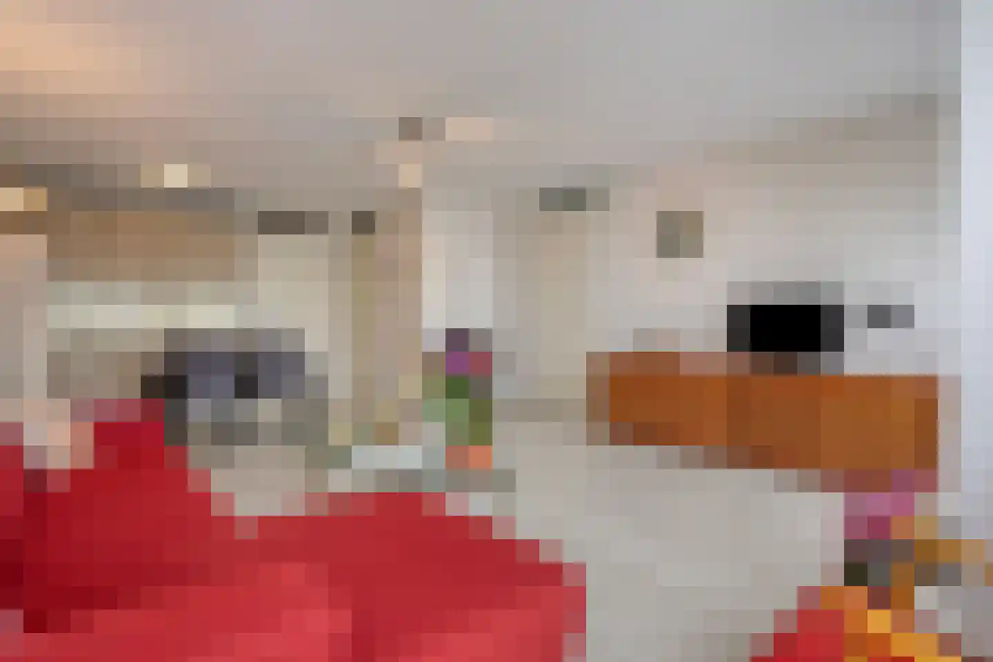 Sint Pieterspark 35 Tilburg thumbnail 10