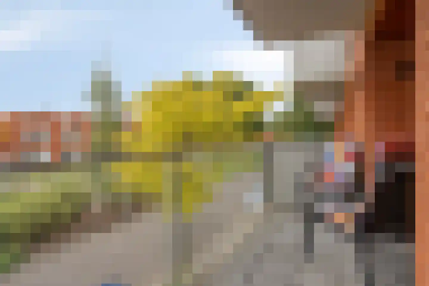 Sint Pieterspark 35 Tilburg thumbnail 14