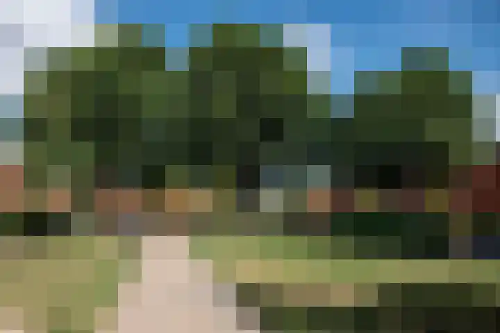 Sint Pieterspark 42 Tilburg thumbnail 22