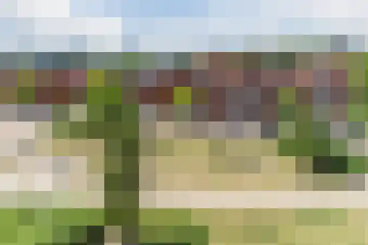 Sint Pieterspark 42 Tilburg thumbnail 27