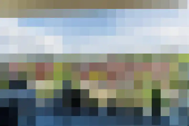 Sint Pieterspark 42 Tilburg thumbnail 9
