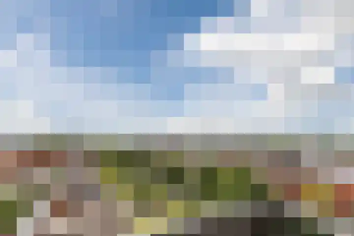 Sint Pieterspark 52 Tilburg thumbnail 15