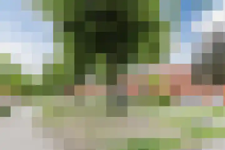 Sint Pieterspark 52 Tilburg thumbnail 34
