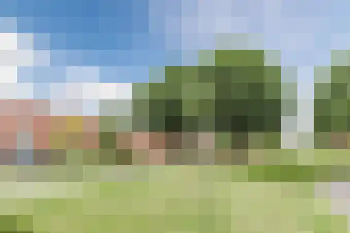 Sint Pieterspark 52 Tilburg thumbnail 35