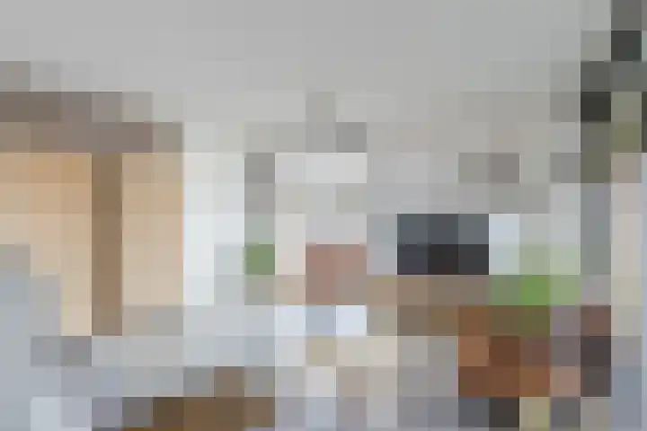 Sint Pieterspark 52 Tilburg thumbnail 5