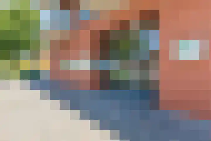 Sint Pieterspark 65 Tilburg thumbnail 20