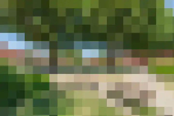Sint Pieterspark 65 Tilburg thumbnail 25
