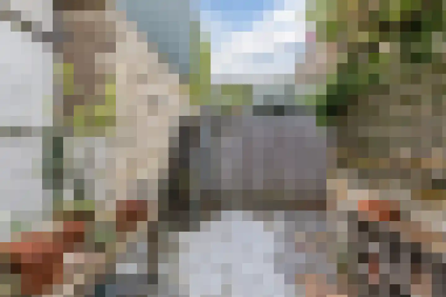 Sint Pieterstraat 14 Valkenburg thumbnail 31