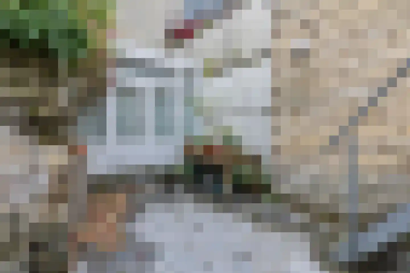 Sint Pieterstraat 14 Valkenburg thumbnail 32