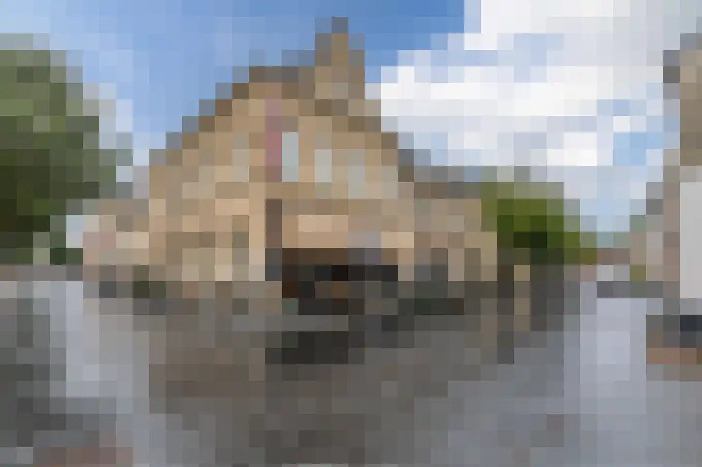 Sint Pieterstraat 14 Valkenburg thumbnail 34