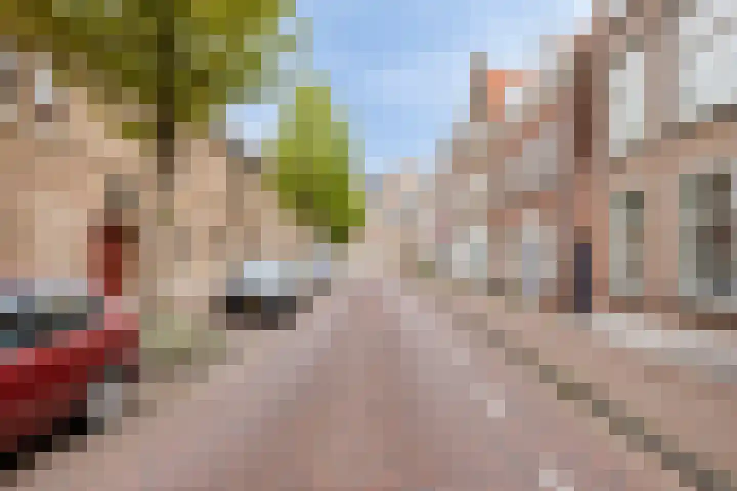 Sint Pieterstraat 15 Middelburg thumbnail 6