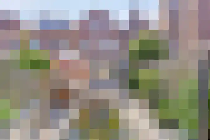 Sint Pieterstraat 29 Middelburg thumbnail 31