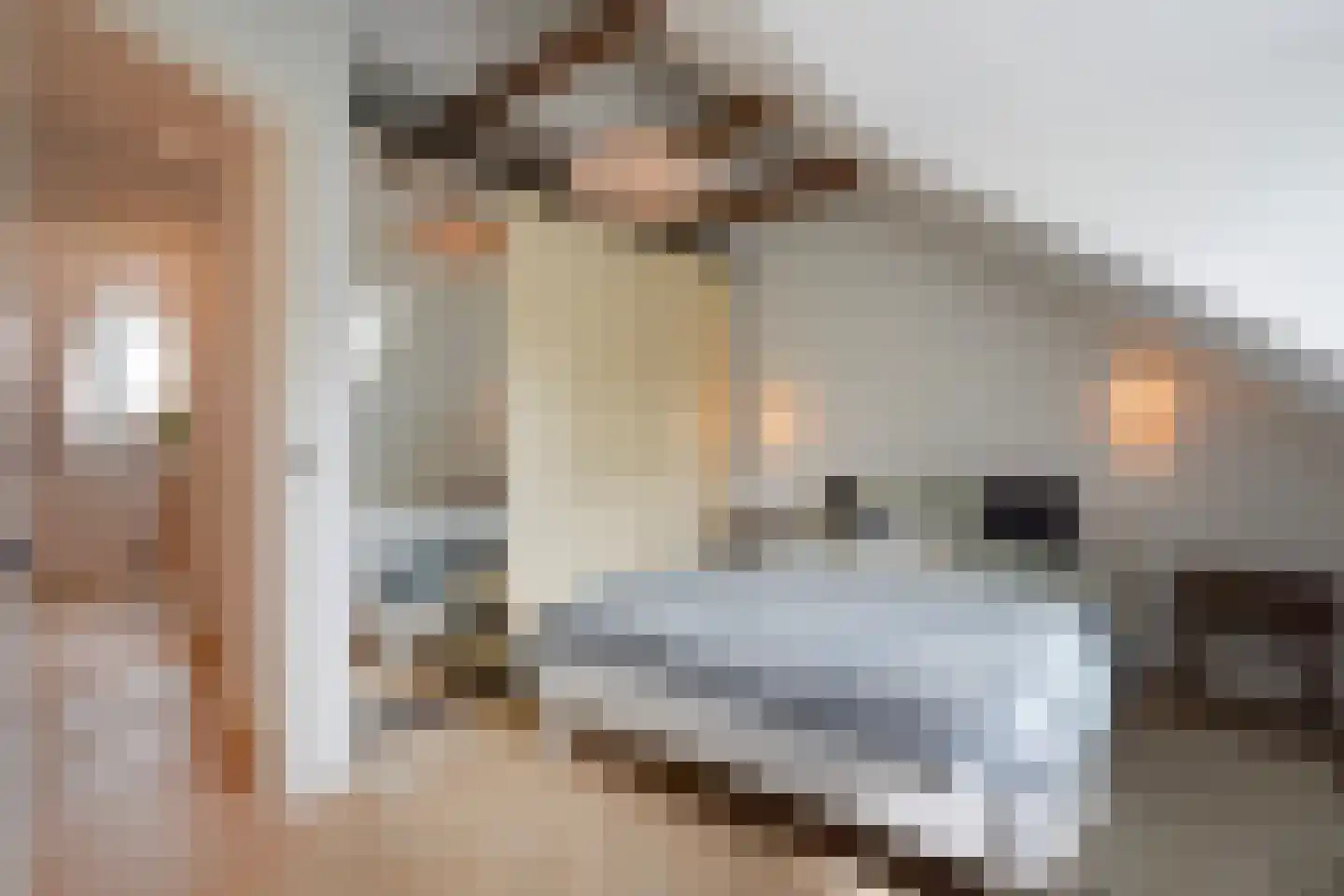 Sint Raphaëlstraat 9 Leidschendam thumbnail 32