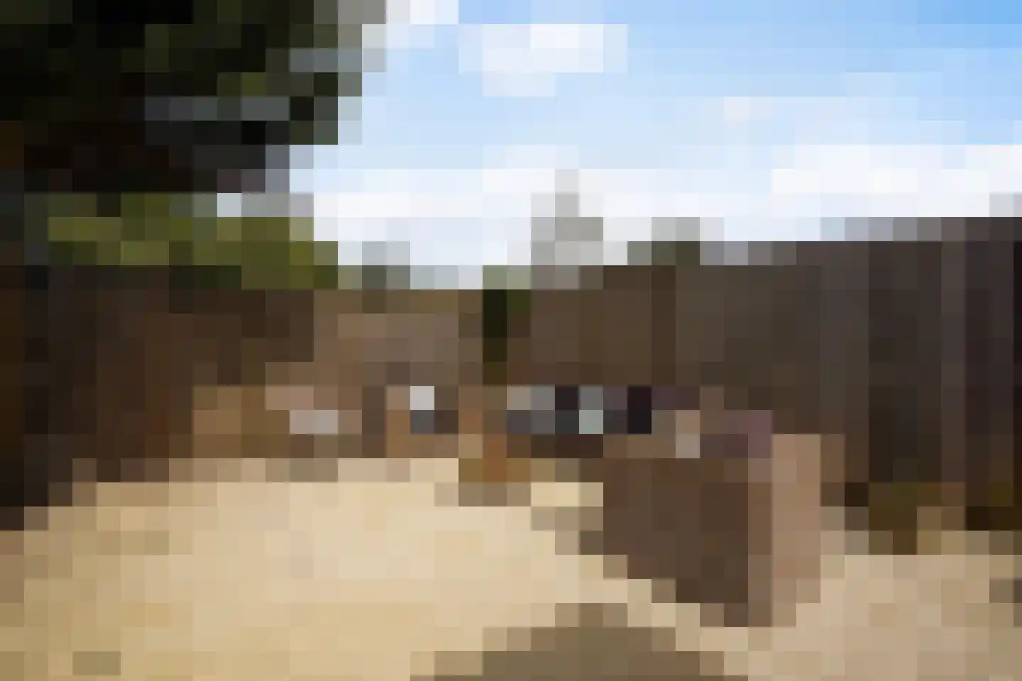 Sint Raphaëlstraat 9 Leidschendam thumbnail 4