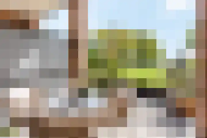 Sint Remigiusstraat 6 Weerselo thumbnail 19