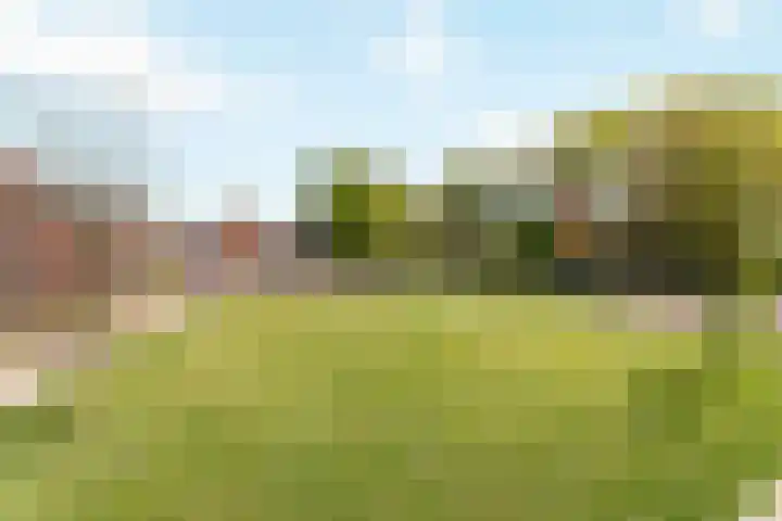 Sint Remigiusstraat 6 Weerselo thumbnail 20