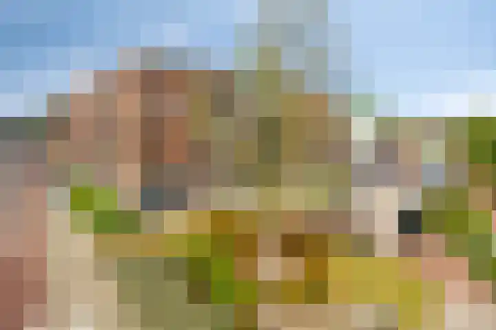 Sint Rochusstraat 19 Boxmeer thumbnail 31