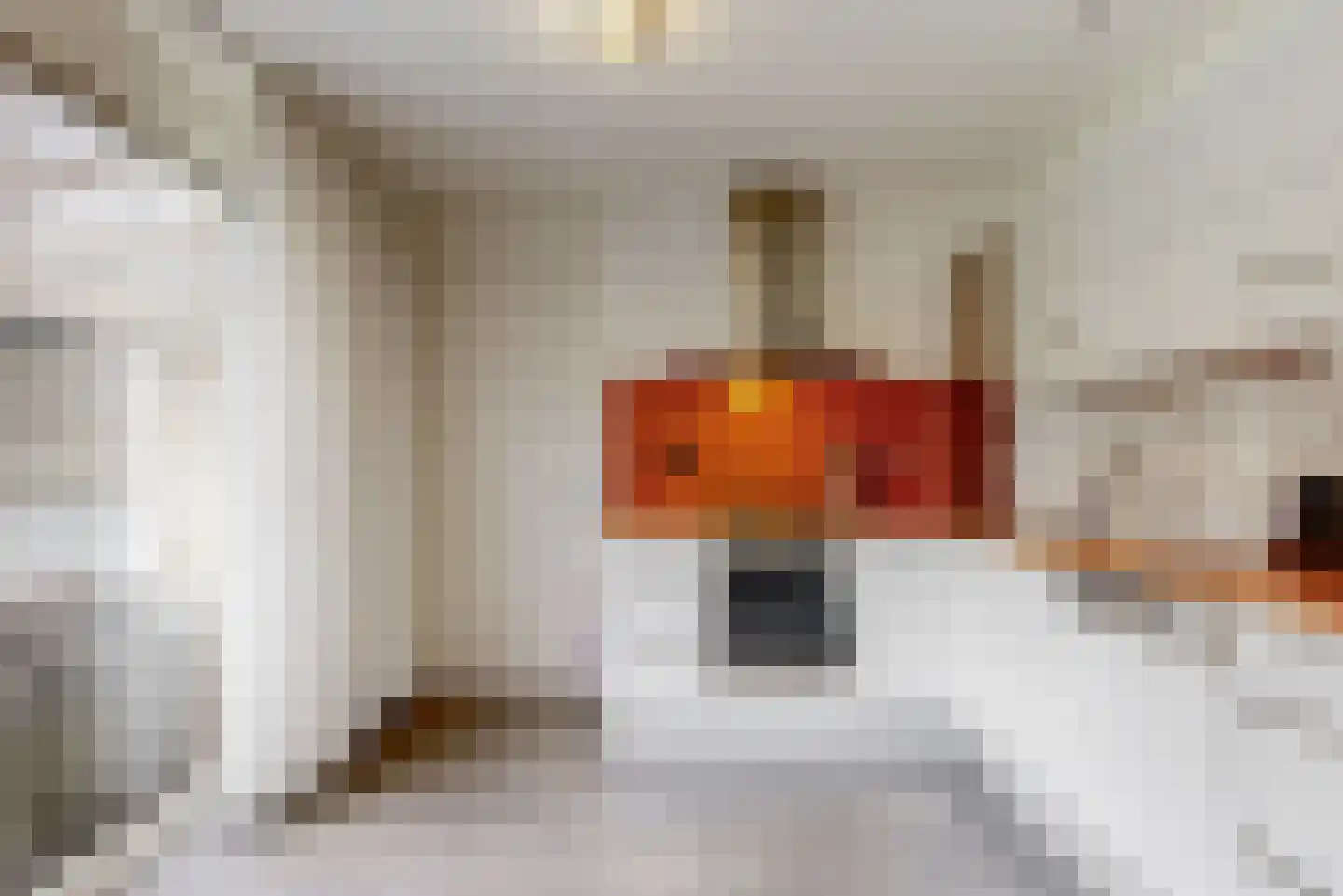 Sint Rochusstraat 9 Stein thumbnail 12