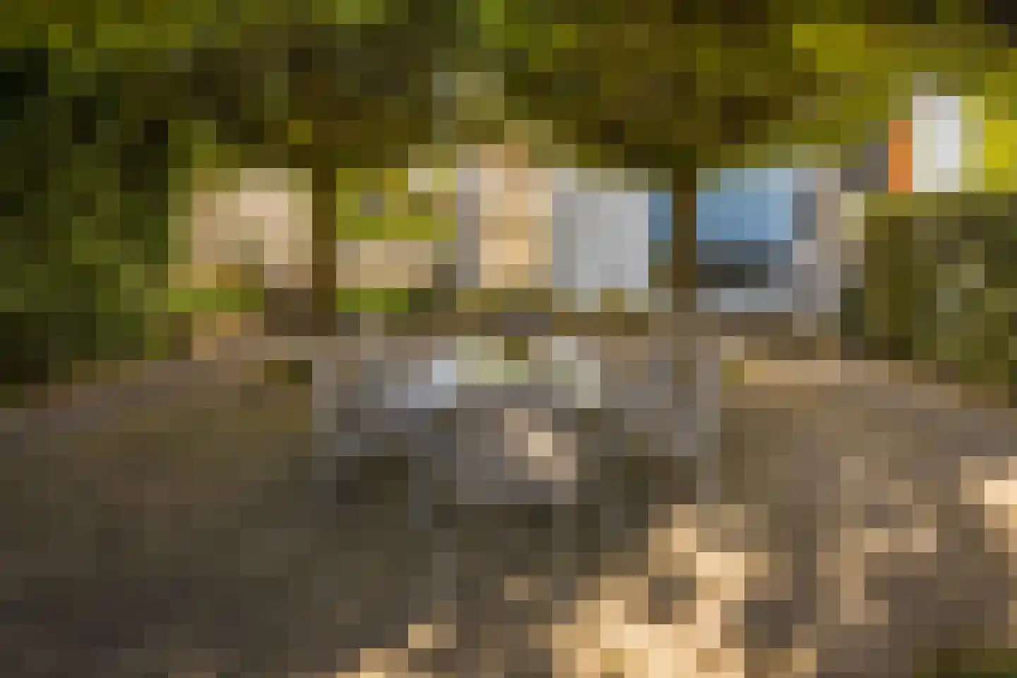 Sint Rochusweg 5 Maastricht thumbnail 4