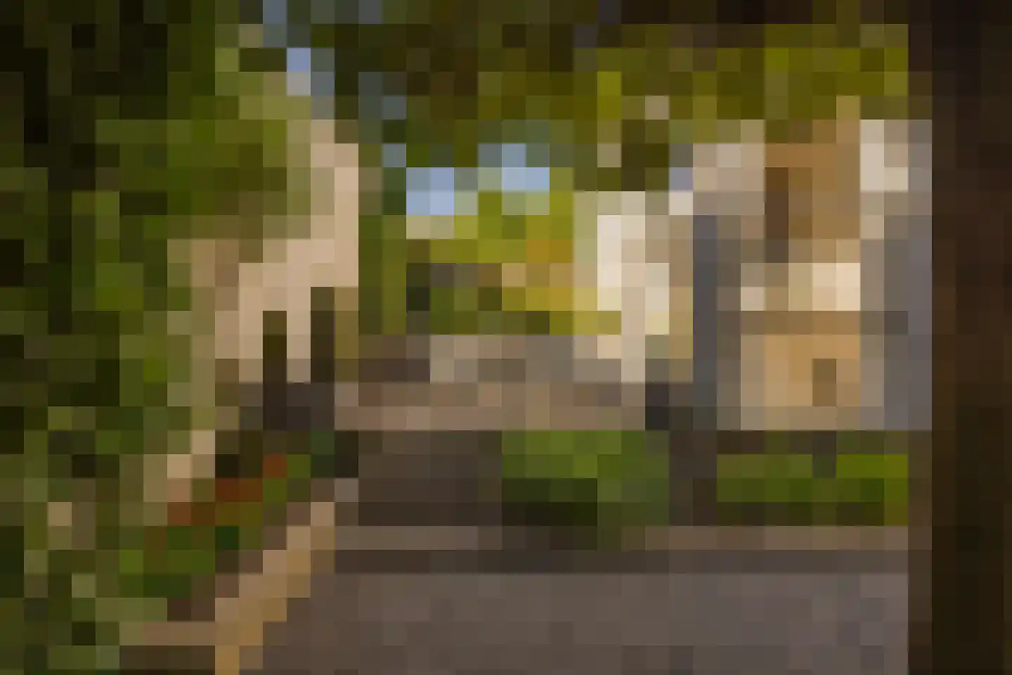 Sint Rochusweg 5 Maastricht thumbnail 5
