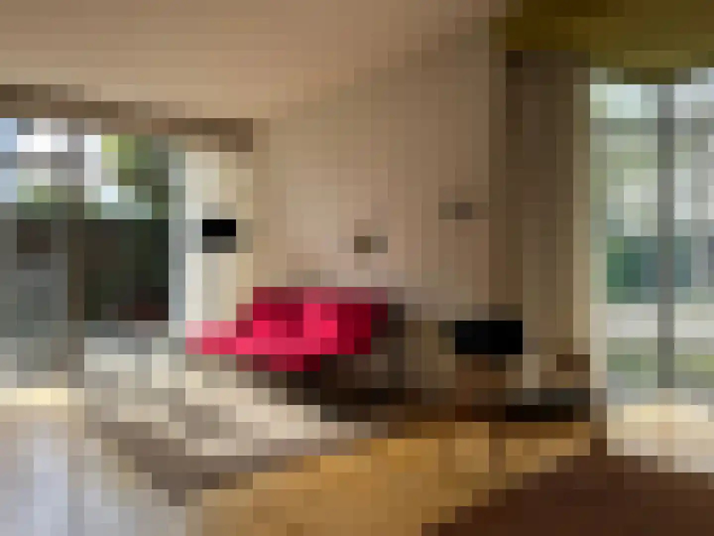 Sint Rochusweg 5 Maastricht thumbnail 8