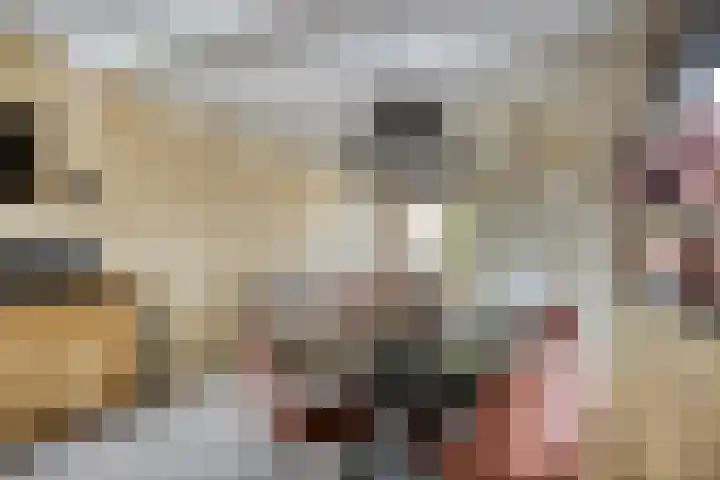 Sint Sebastiaan Doelstraat 12 Sommelsdijk thumbnail 10