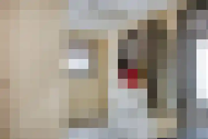 Sint Sebastiaan Doelstraat 12 Sommelsdijk thumbnail 12