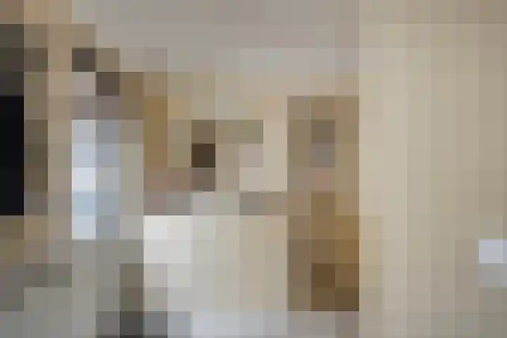 Sint Sebastiaan Doelstraat 12 Sommelsdijk thumbnail 13