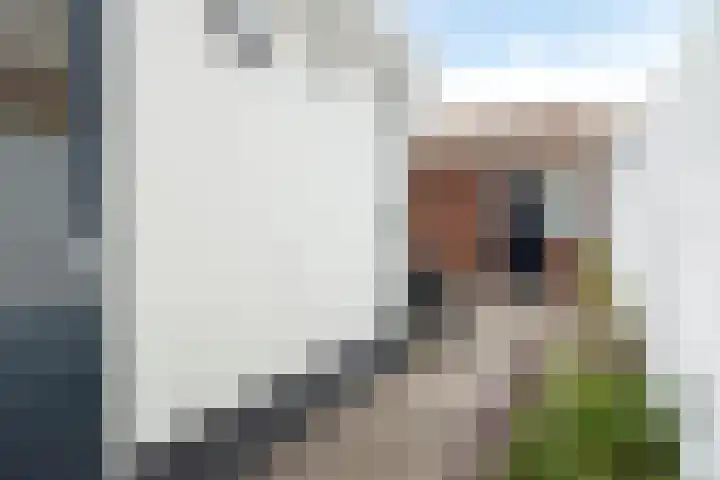 Sint Sebastiaan Doelstraat 12 Sommelsdijk thumbnail 21