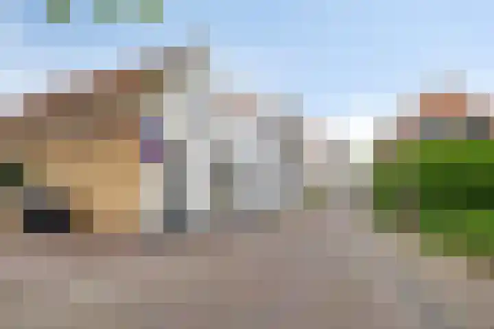 Sint Sebastiaan Doelstraat 12 Sommelsdijk thumbnail 24