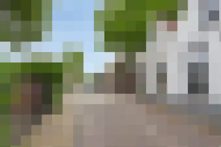 Sint Sebastiaan Doelstraat 12 Sommelsdijk thumbnail 26