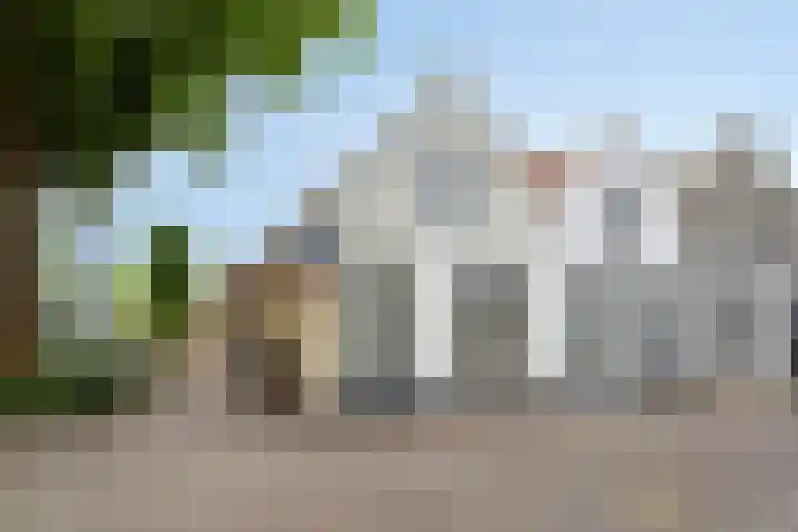 Sint Sebastiaan Doelstraat 12 Sommelsdijk thumbnail 38