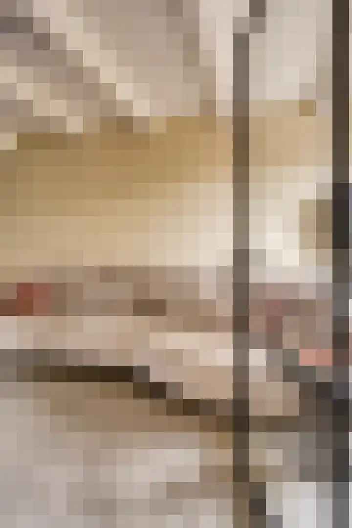 Sint Sebastiaan Doelstraat 12 Sommelsdijk thumbnail 7
