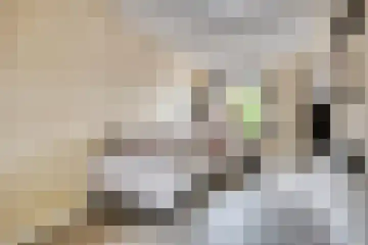 Sint Sebastiaan Doelstraat 12 Sommelsdijk thumbnail 8