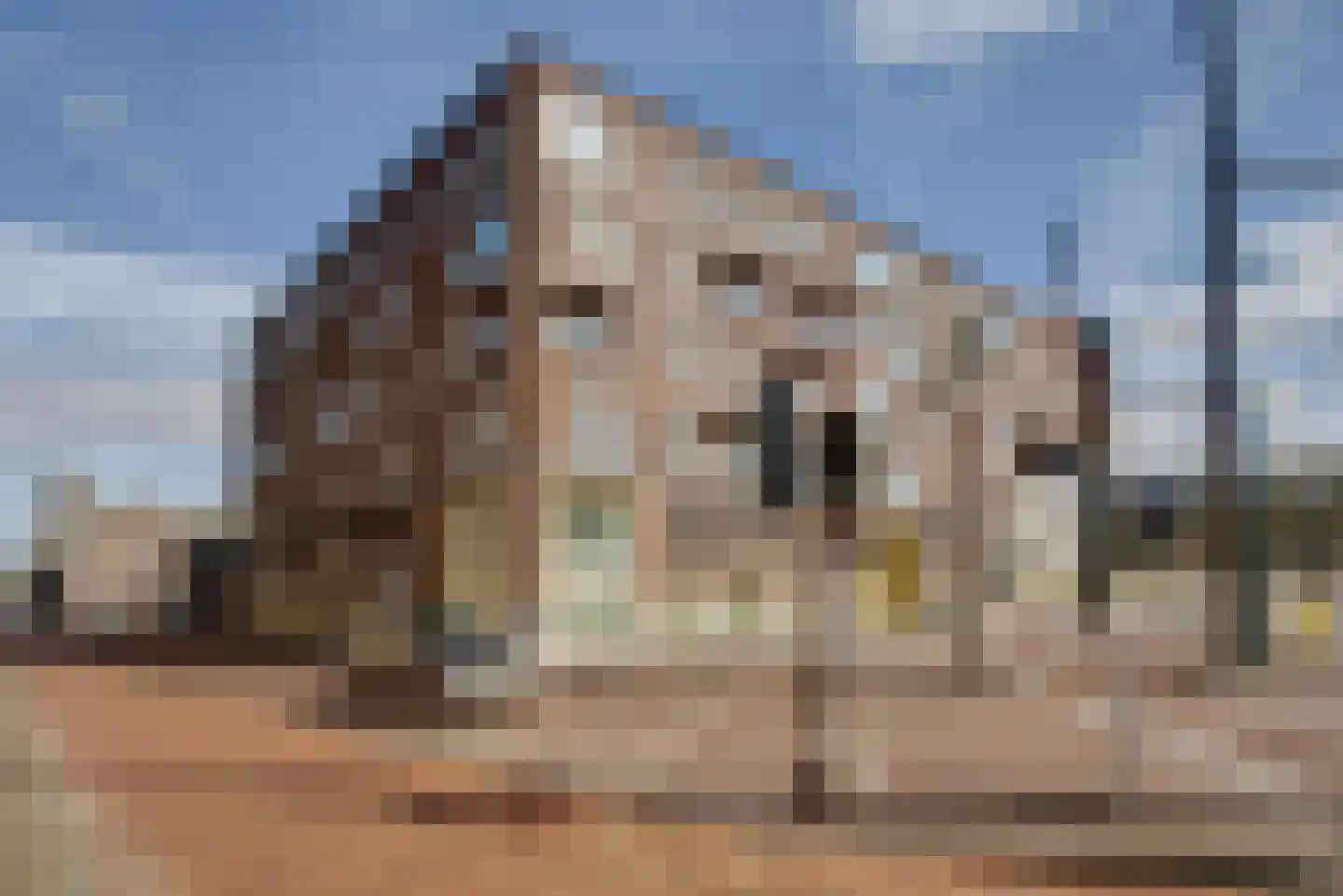 Sint Sebastiaansbrug 13 Delft thumbnail 4