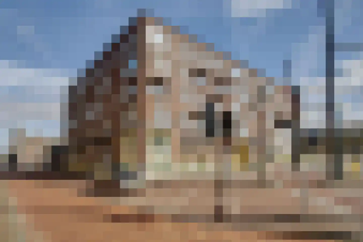 Sint Sebastiaansbrug 13 Delft thumbnail 6