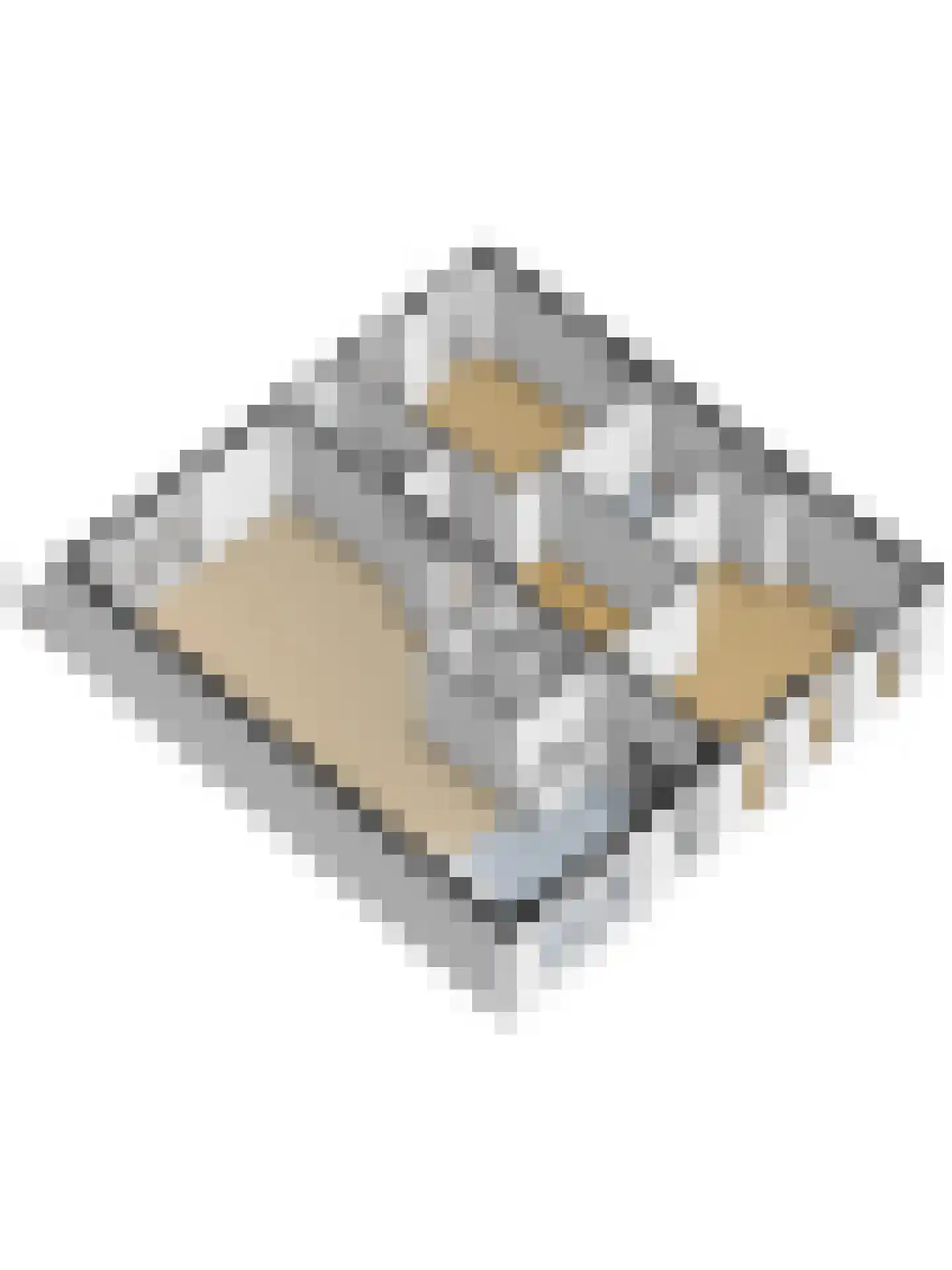 Sint Sebastiaansbrug 7 Delft thumbnail 33