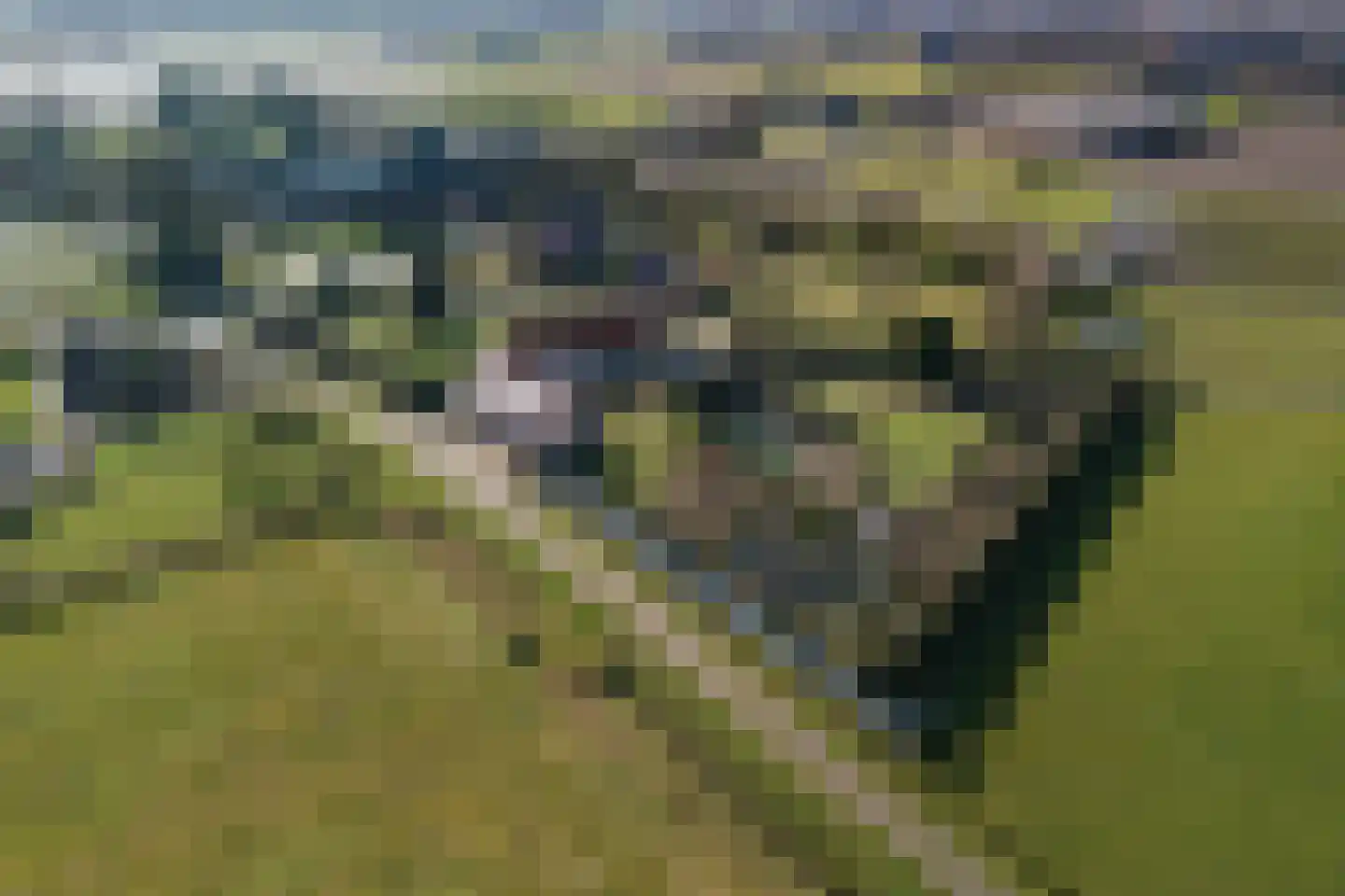 Sint Sebastiaanskapelstraat 5 A Weert thumbnail 65
