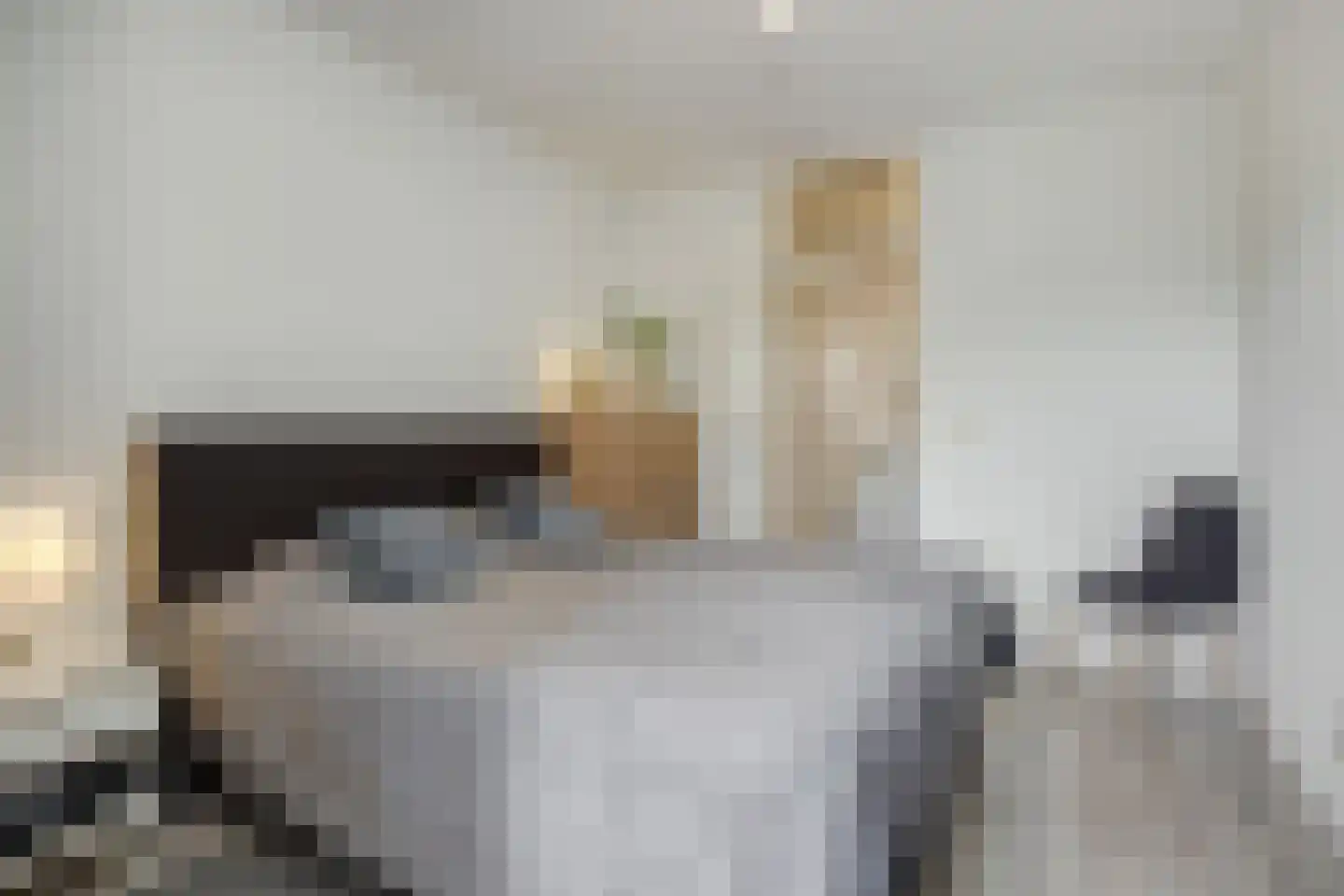 Sint Sebastiaanstraat 16 Oss thumbnail 18