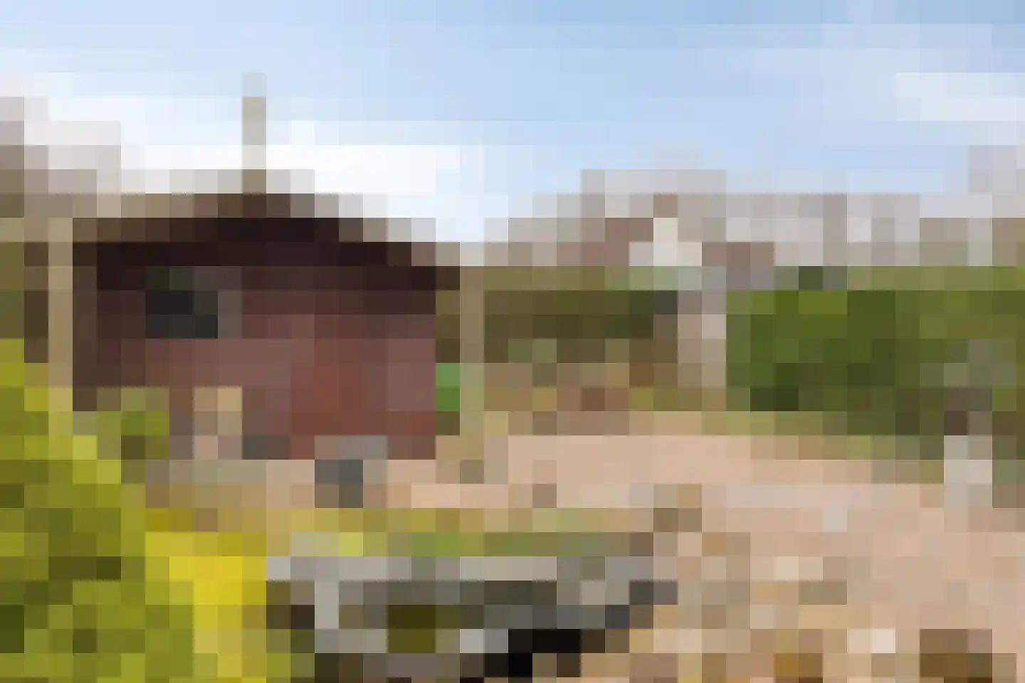 Sint Sebastiaanstraat 3 Aardenburg thumbnail 31