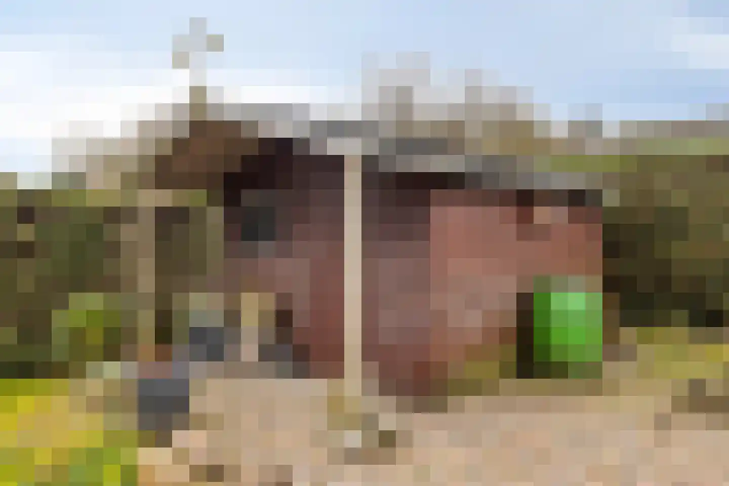 Sint Sebastiaanstraat 3 Aardenburg thumbnail 34
