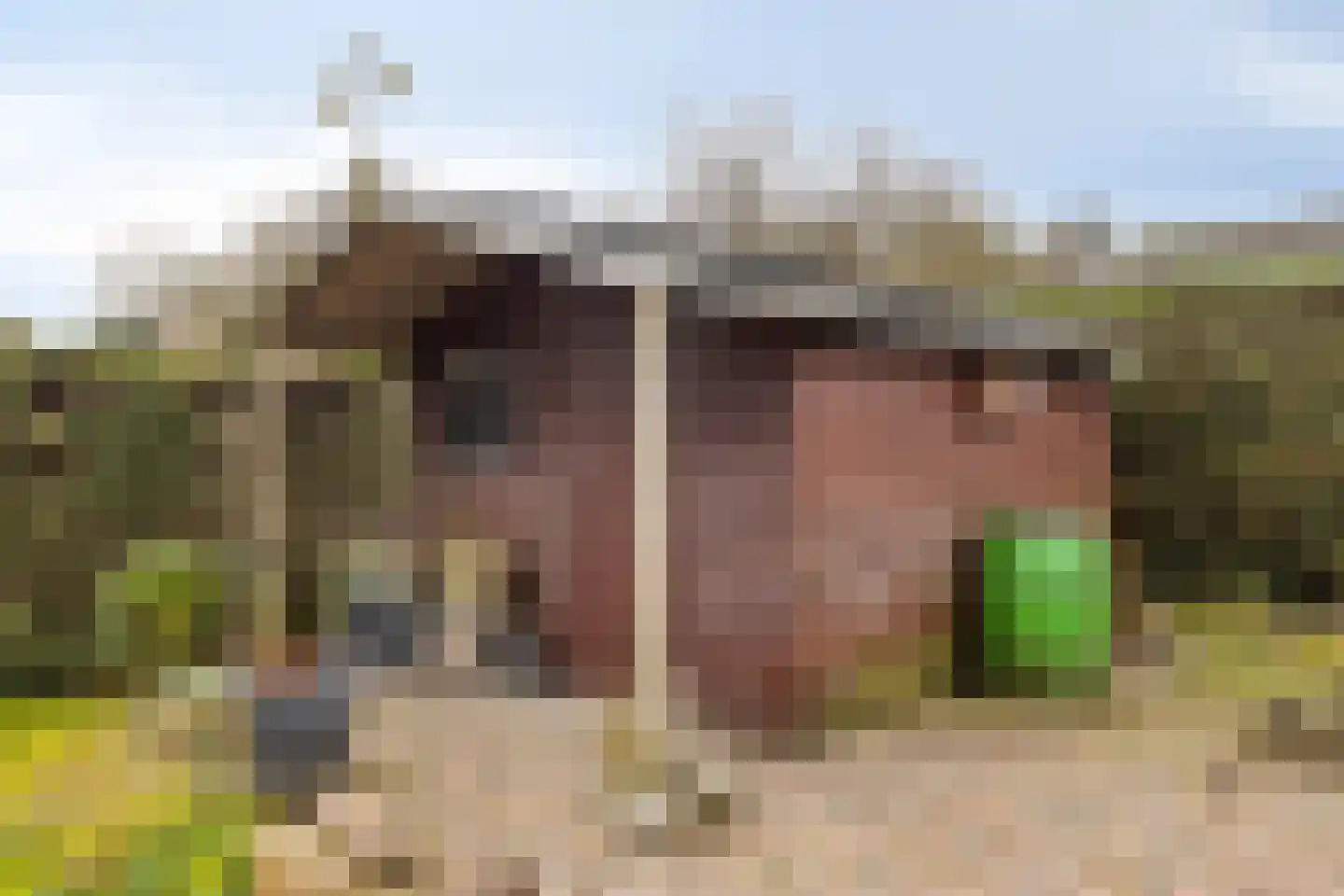 Sint Sebastiaanstraat 3 Aardenburg thumbnail 34