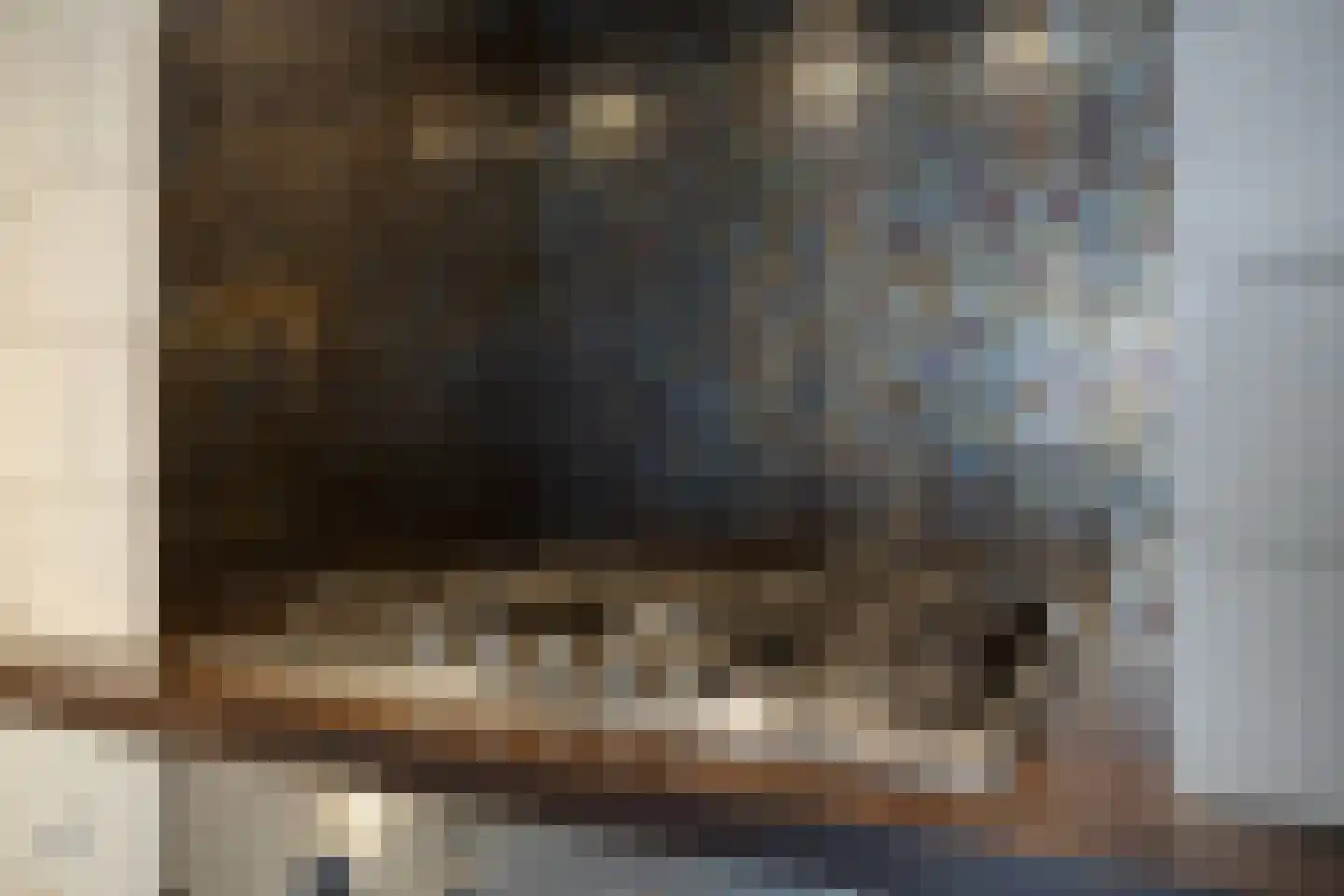 Sint Sebastiaanstraat 4 Oss thumbnail 15